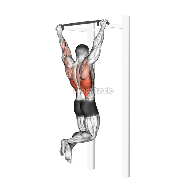 Pull up demonstration