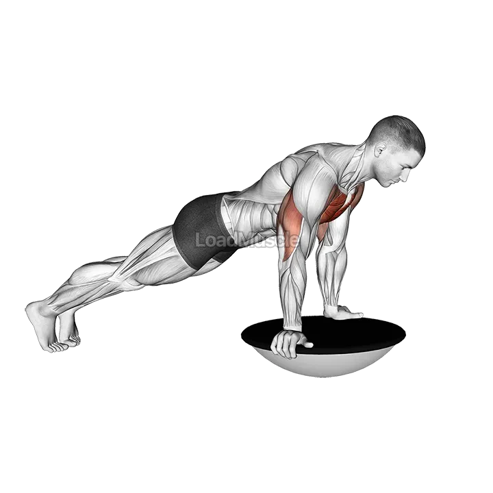 Push up (bosu ball) demonstration