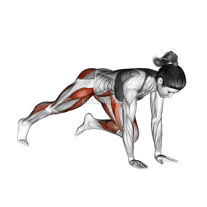 Push up (knee chest) demonstration