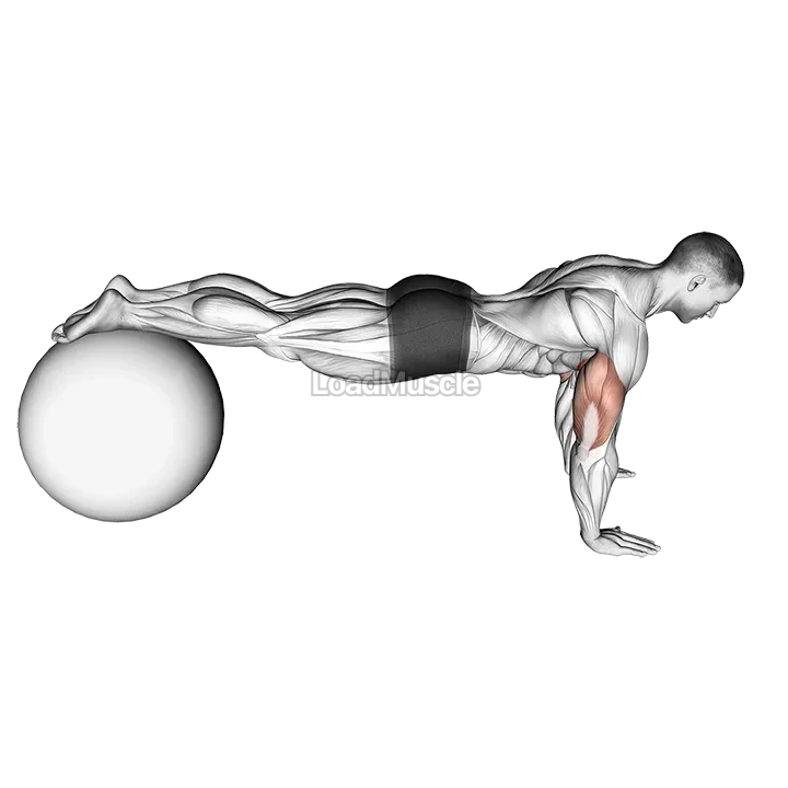 Decline Push up (on stability ball) m demonstration