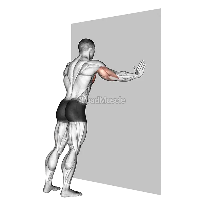 Push up (wall) demonstration