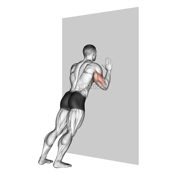 Push up (wall) demonstration
