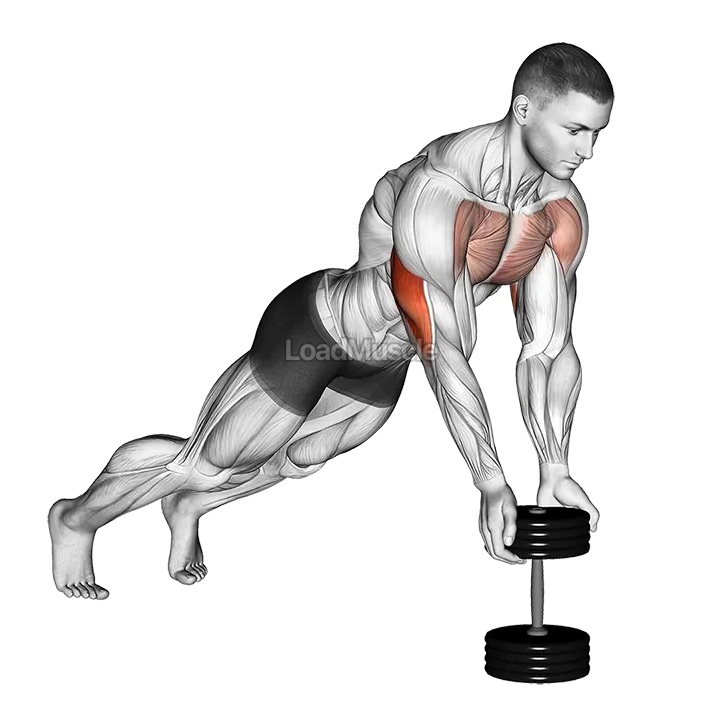 Push Up Close grip off Dumbbell demonstration