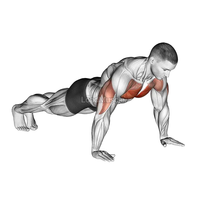 Push up m demonstration