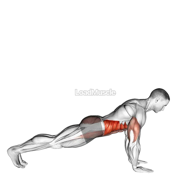 Push Up to Side Plank demonstration