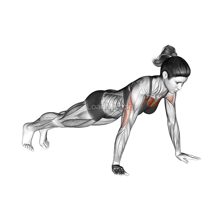 Push up w demonstration