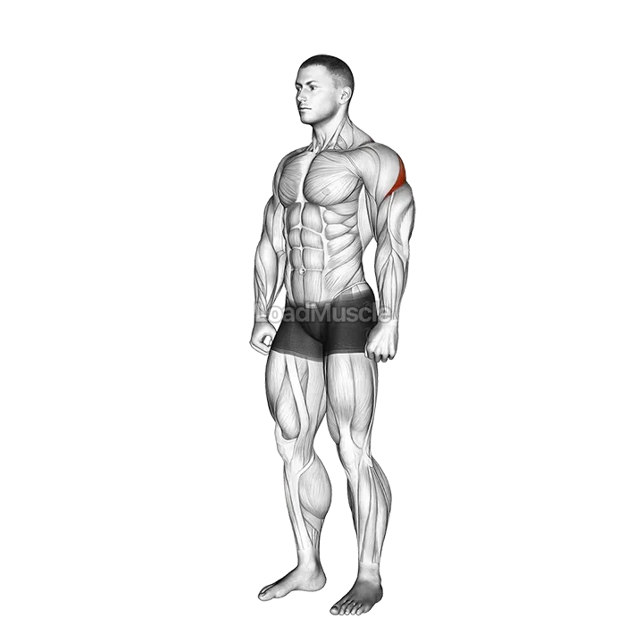 Rear Deltoid Stretch demonstration