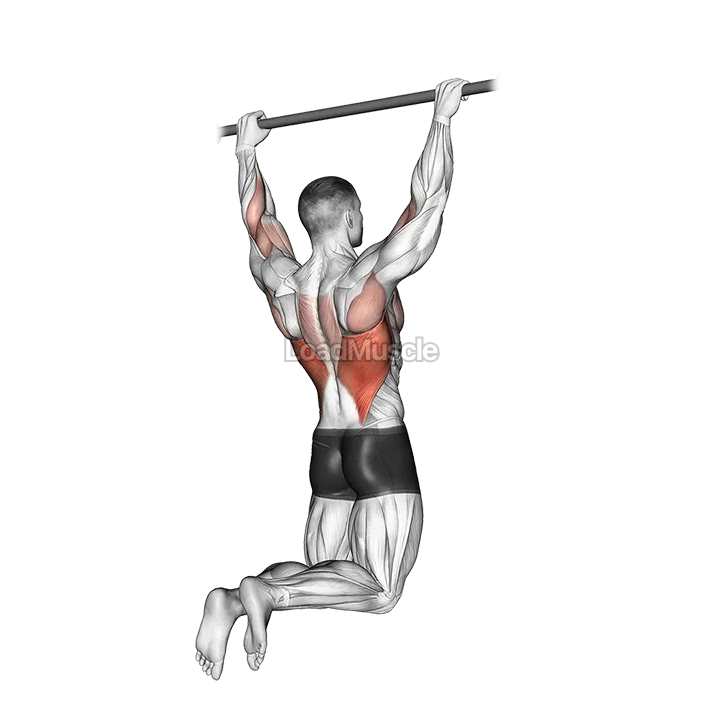 Rear Pull up demonstration