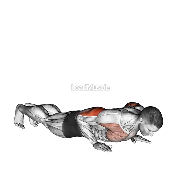 Reverse Dip demonstration