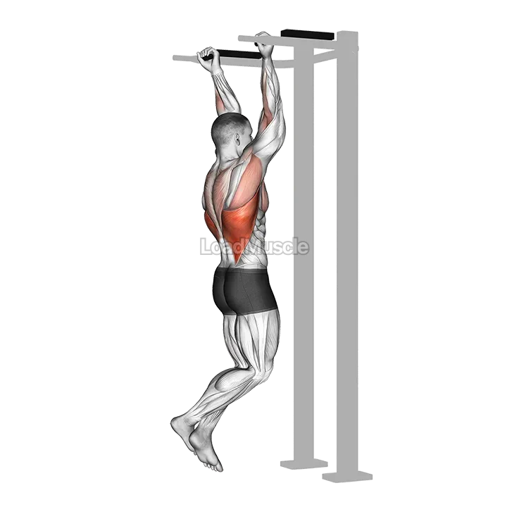 Reverse grip Pull up demonstration