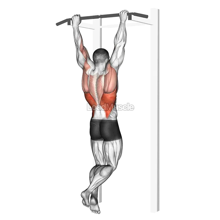 Rocky Pull Up Pulldown demonstration