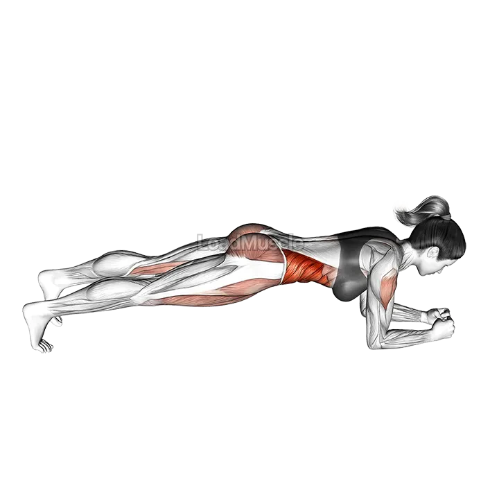 Rolling Bridge demonstration