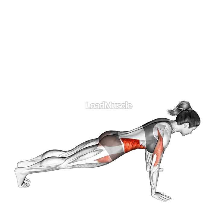 Rotate Push up demonstration