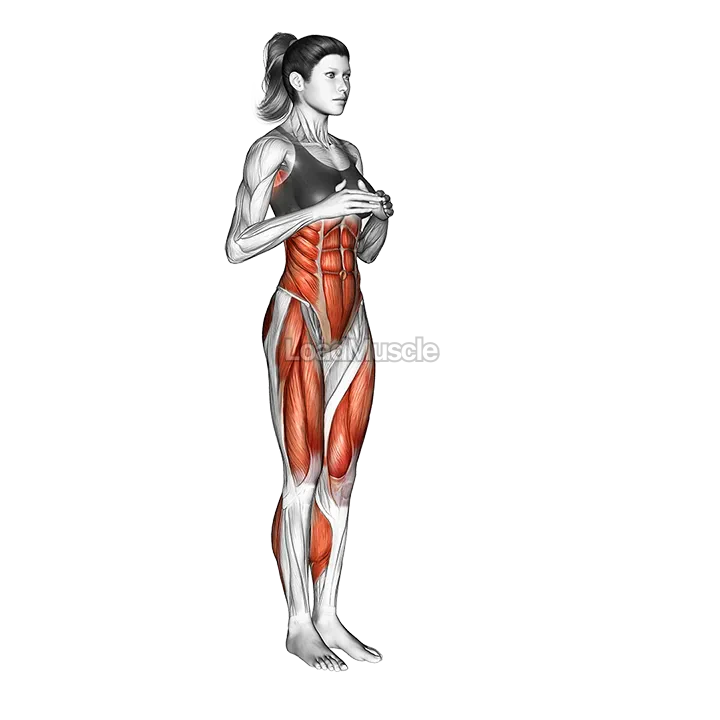 Rotational Jacks demonstration