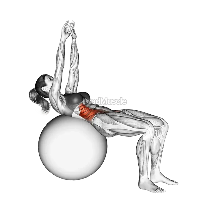 Russian Twist (on stability ball arms straight) demonstration