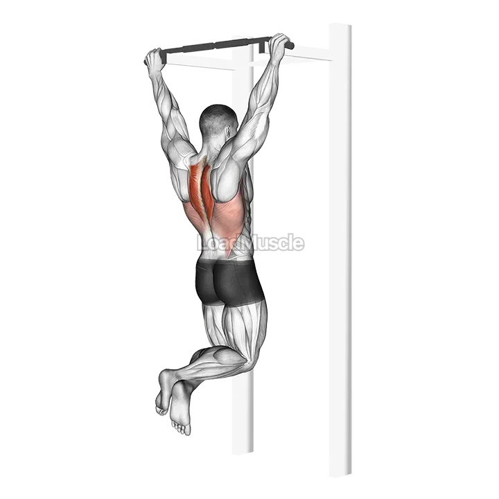 Scapular Pull Up demonstration