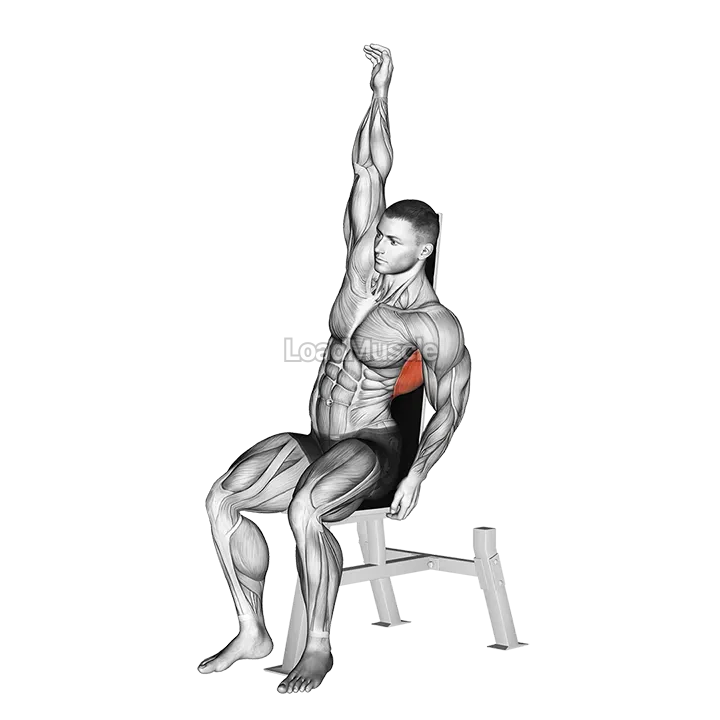 Seated Lower Back Stretch demonstration