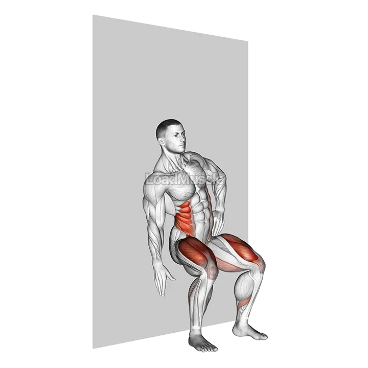 Seated Side Crunch (Wall) demonstration