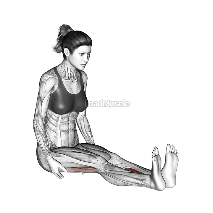 Seated Straight Leg Calf Stretch demonstration