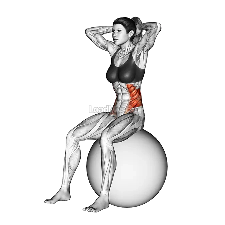 Seated Twist (on stability ball) demonstration