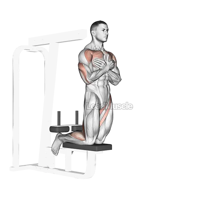 Self assisted Inverse Leg Curl demonstration