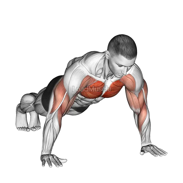 Shoulder Tap Push up demonstration