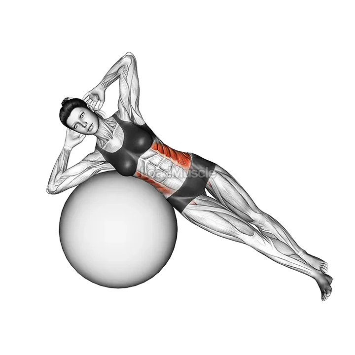 Side Bend (on stability ball) demonstration