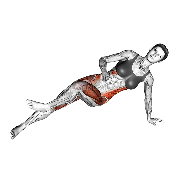 Side Bridge (bent knee) demonstration