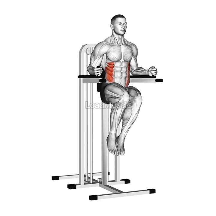 Side Hip (on parallel bars) demonstration