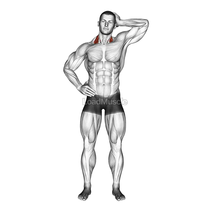 Side Push Neck Stretch demonstration