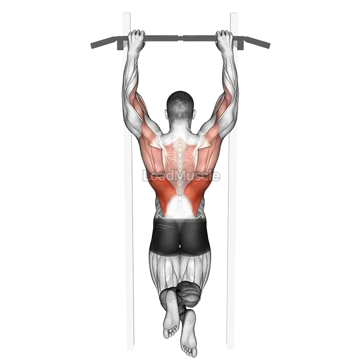 Side To Side Chin demonstration