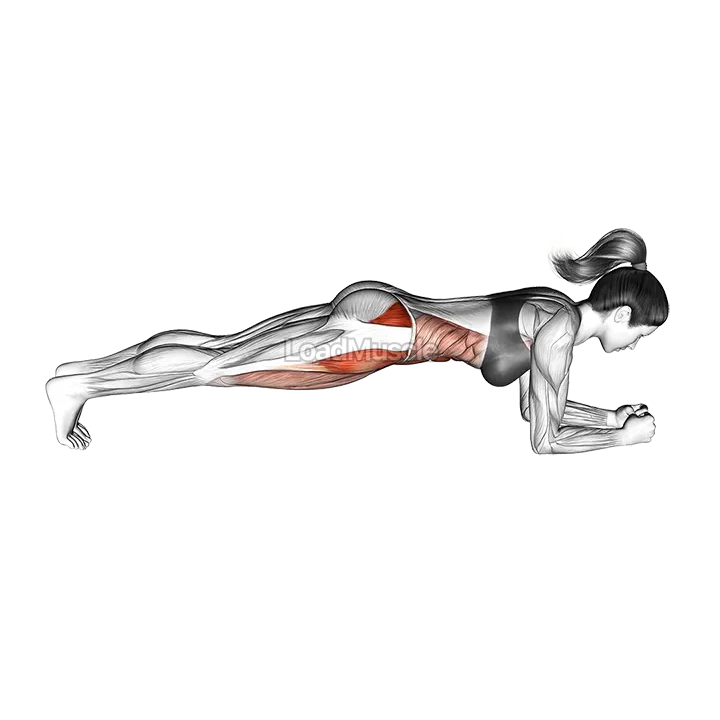 Sideway Leg Bridge demonstration