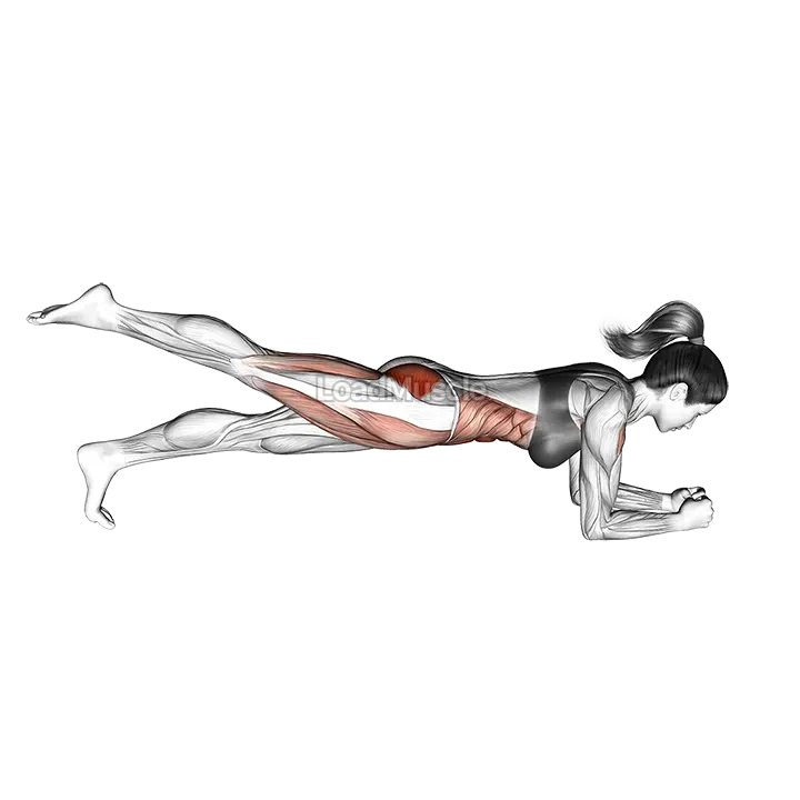 Single Leg Bridge demonstration