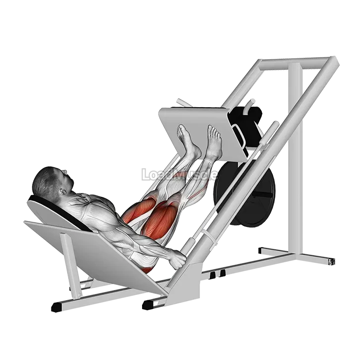 Sled 45 Leg Press demonstration
