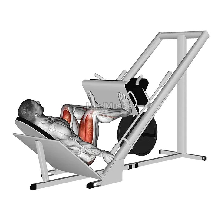 Sled 45 Leg Wide Press demonstration