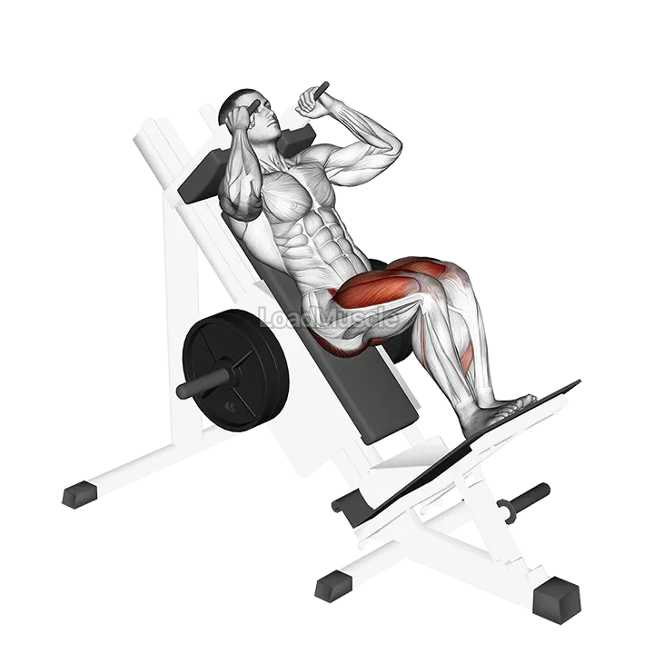 Sled Closer Hack Squat demonstration