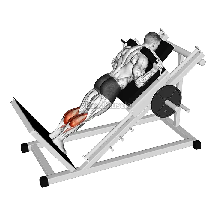 Sled Forward Angled Calf Raise demonstration