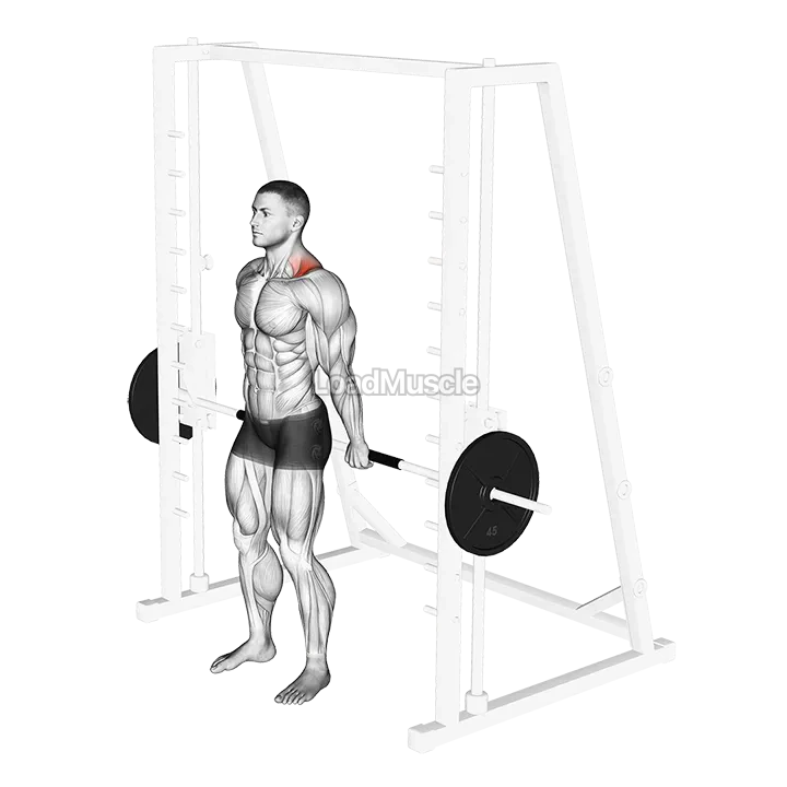 Smith Back Shrug demonstration