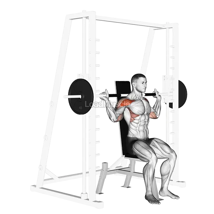 Smith Behind Neck Press demonstration