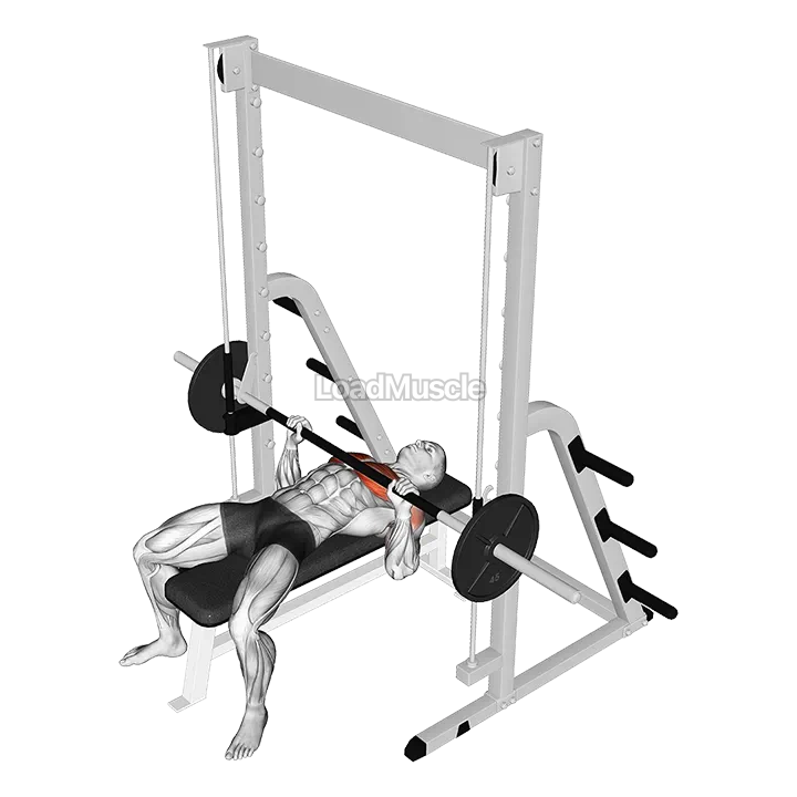 Smith Bench Press demonstration