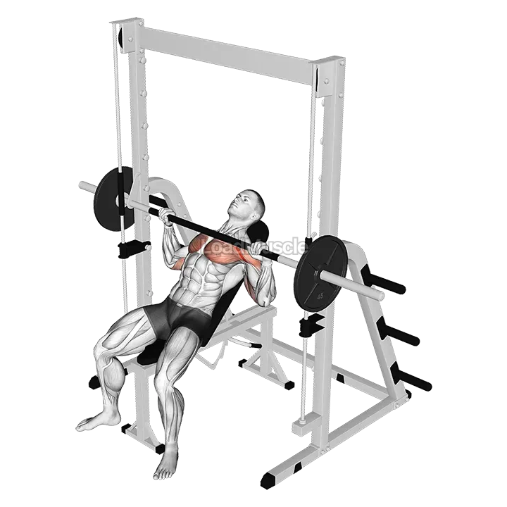 Smith Incline Bench Press demonstration