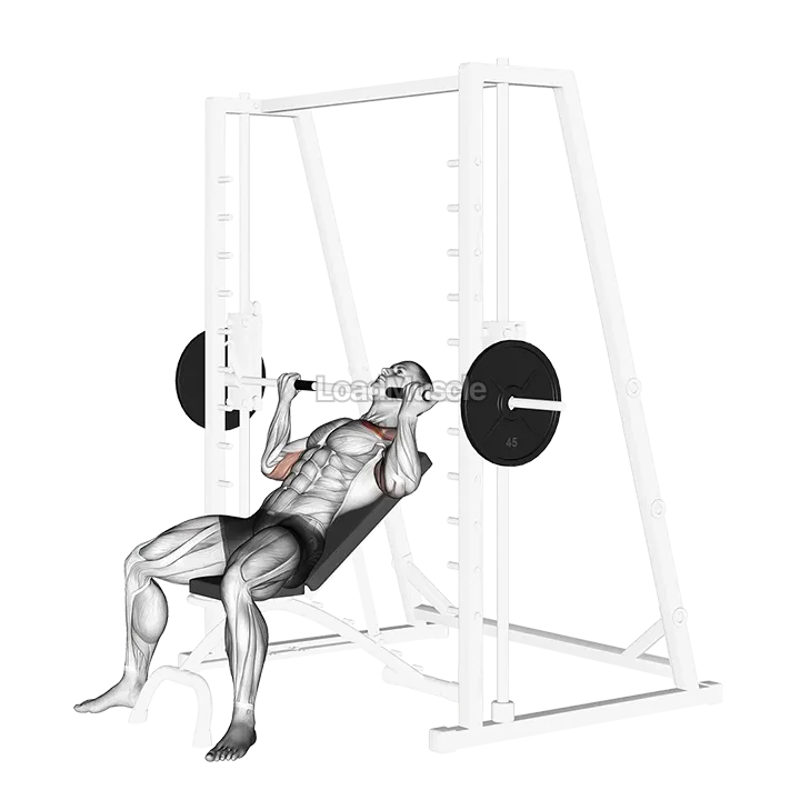 Smith Incline Reverse grip Press demonstration