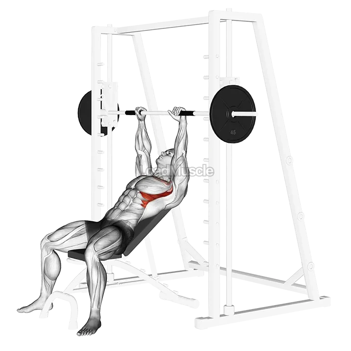 Smith Incline Shoulder Raises demonstration