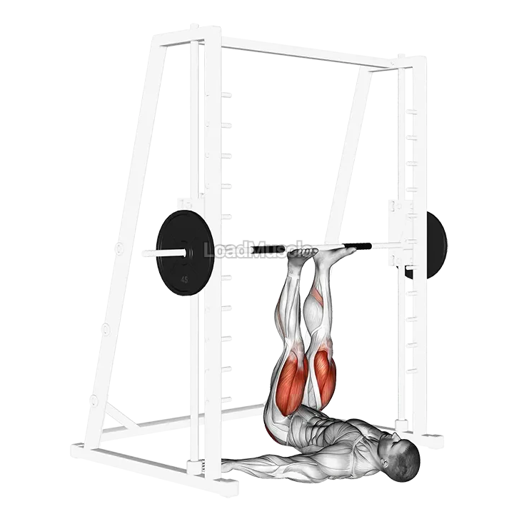 Smith Leg Press demonstration