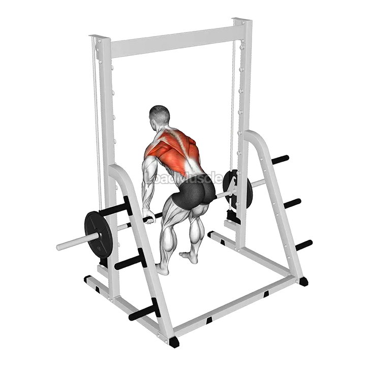 Smith Rear Delt Row demonstration