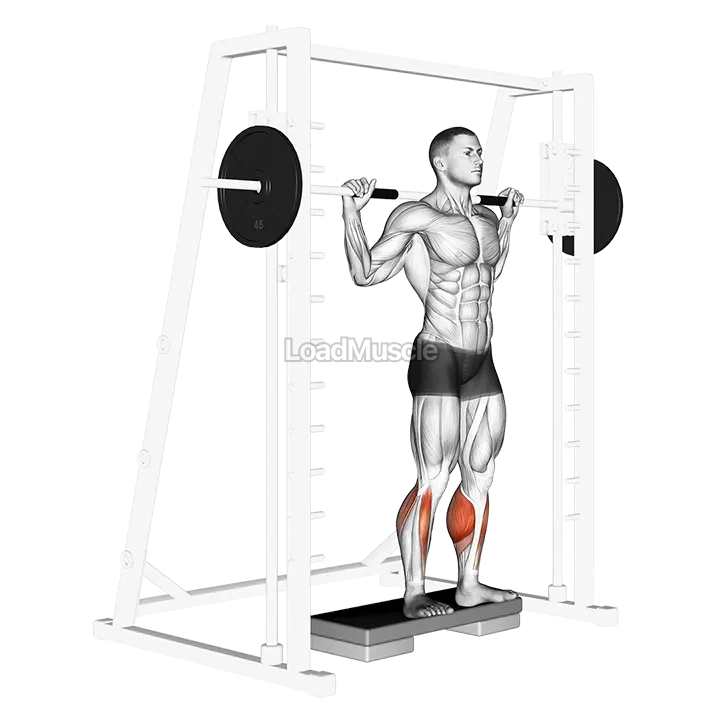 Smith Reverse Calf Raises demonstration