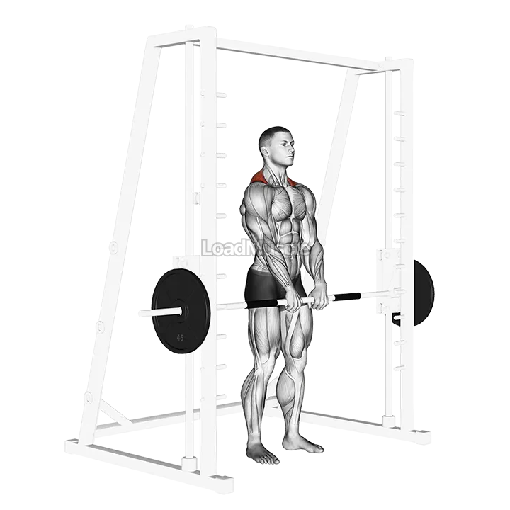 Smith Shrug demonstration