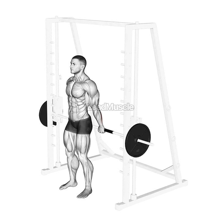 Smith Standing Back Wrist Curl demonstration