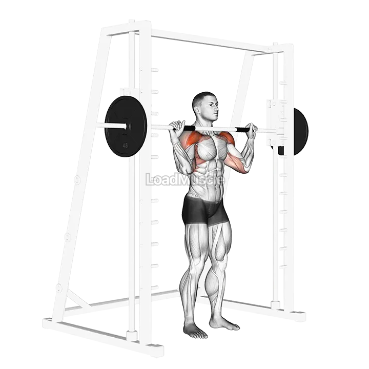 Smith Standing Military Press demonstration