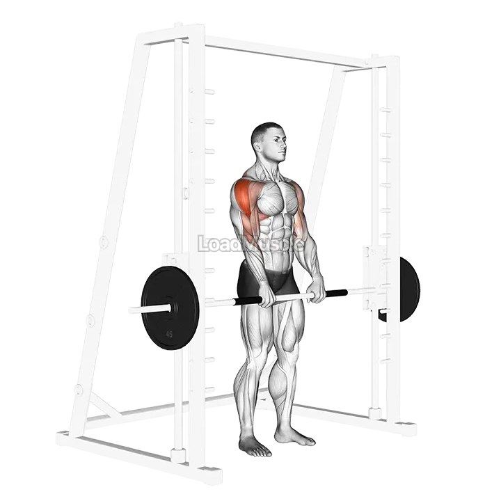 Smith Upright Row demonstration